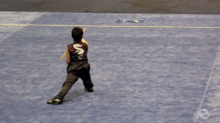 Wushu Kids European Championships 2014